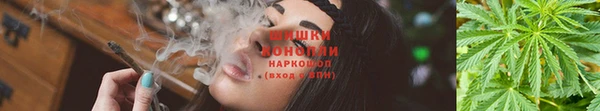 ешки Алексин