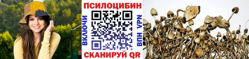 где найти наркотики  Альметьевск  Галлюциногенные грибы ЛСД 